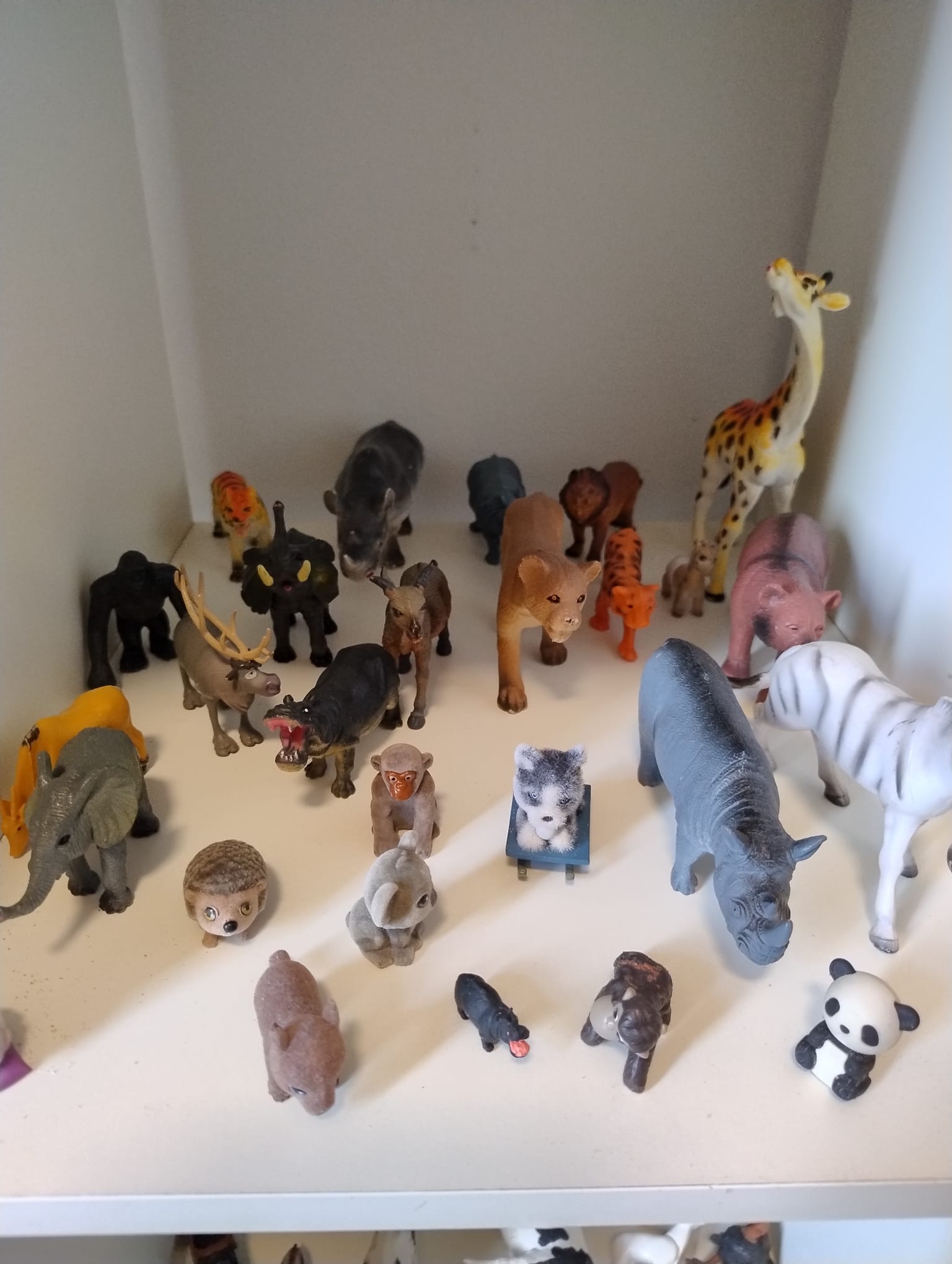 Gallery image 29